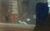 Le Arti Minori * - 